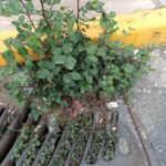 Αποφράξεις Αθήνα & Αττική – 24ωρη Άμεση Εξυπηρέτηση 3 20260711 084319